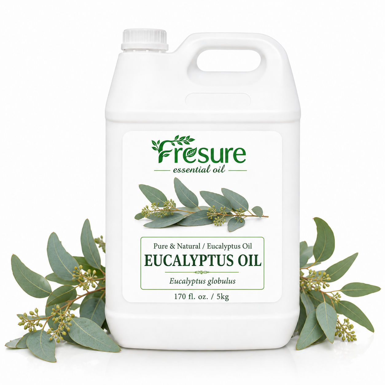 Eucalyptus Oil